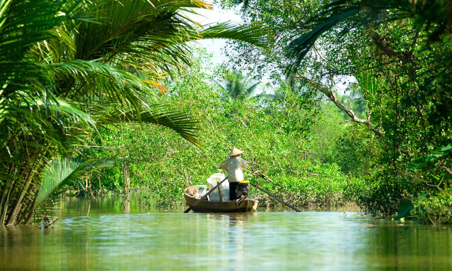 cropped-dreamstime_xxl_17381078 cropped-dreamstime_xxl_17381078