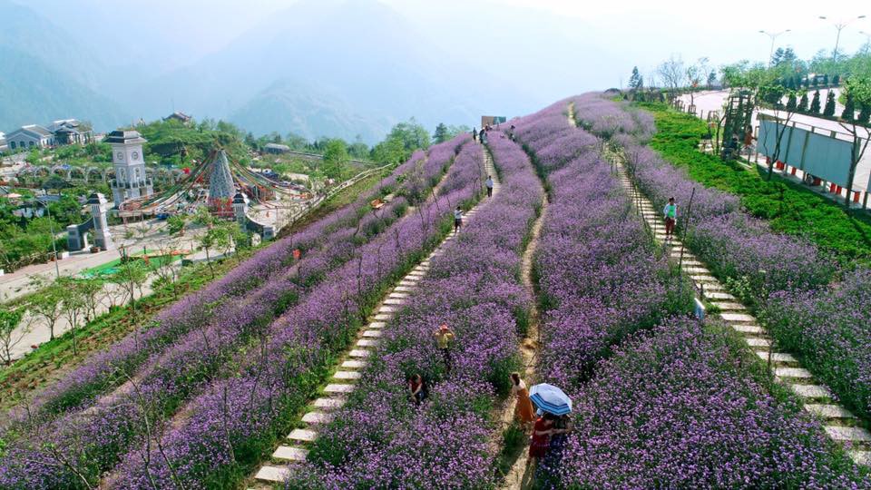 'Vó ngựa trên mây' - giải đua ngựa lần đầu tiên được tổ chức tại Fansipan - Ảnh 6. 'Vó ngựa trên mây' - giải đua ngựa lần đầu tiên được tổ chức tại Fansipan - Ảnh 6.