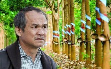 HAGL Agrico bán đứt công ty cao su nghìn tỉ cho tỉ phú Trần Bá Dương