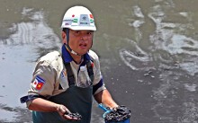 Hé lộ kết quả thử nghiệm làm sạch sông Tô Lịch bằng công nghệ Đức và Nhật Bản