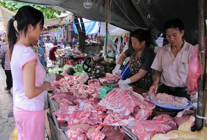 lợn tả lợn tả
