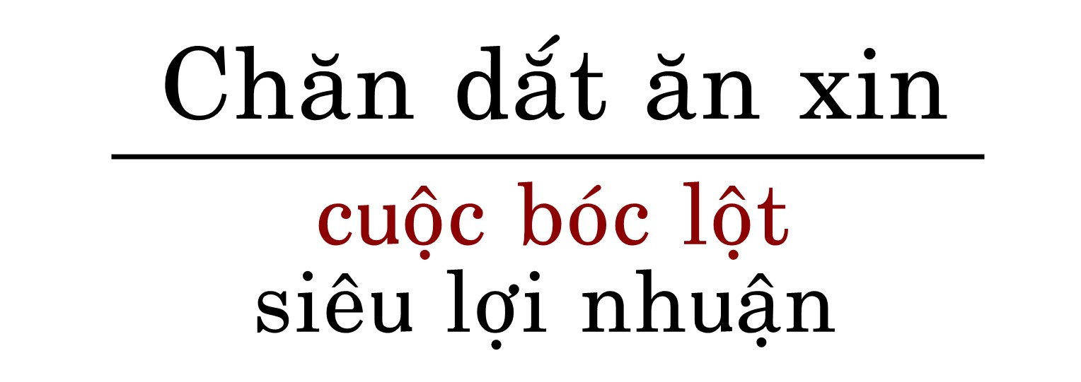Chăn dắt ăn xin: Cuộc bóc lột siêu lợi nhuận - Ảnh 2. Chăn dắt ăn xin: Cuộc bóc lột siêu lợi nhuận - Ảnh 2.