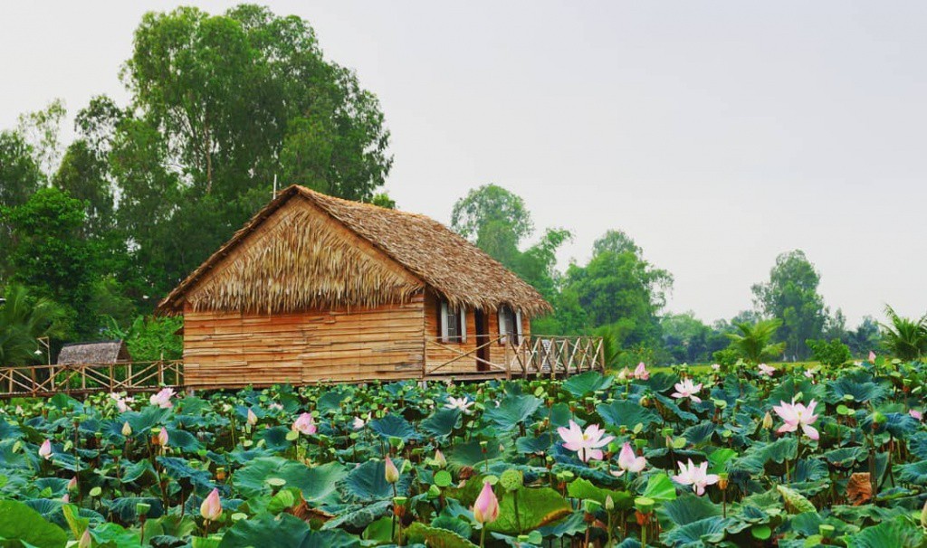 Tháng 6 mùa sen nở, khám phá những đầm sen sống ảo đẹp hết ý - Ảnh 5. Tháng 6 mùa sen nở, khám phá những đầm sen sống ảo đẹp hết ý - Ảnh 5.