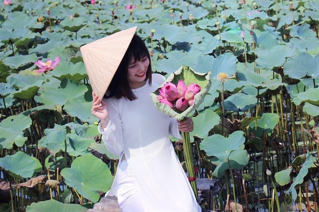Tháng 6 mùa sen nở, khám phá những đầm sen sống ảo đẹp hết ý - Ảnh 10. Tháng 6 mùa sen nở, khám phá những đầm sen sống ảo đẹp hết ý - Ảnh 10.