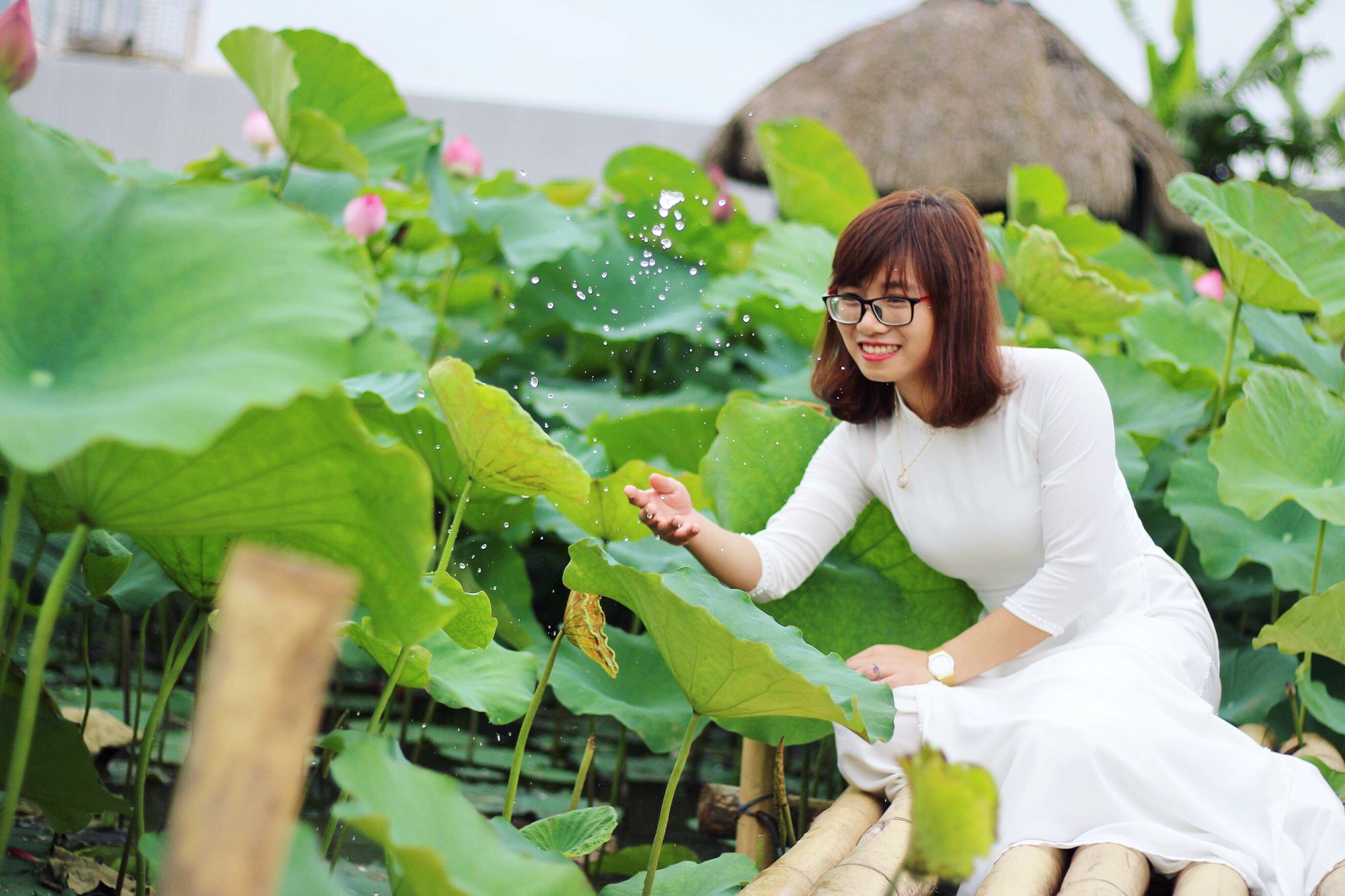 Tháng 6 mùa sen nở, khám phá những đầm sen sống ảo đẹp hết ý - Ảnh 1. Tháng 6 mùa sen nở, khám phá những đầm sen sống ảo đẹp hết ý - Ảnh 1.