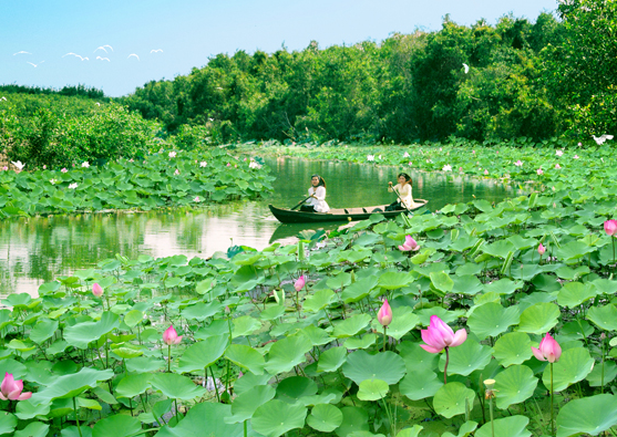Tháng 6 mùa sen nở, khám phá những đầm sen sống ảo đẹp hết ý - Ảnh 4. Tháng 6 mùa sen nở, khám phá những đầm sen sống ảo đẹp hết ý - Ảnh 4.