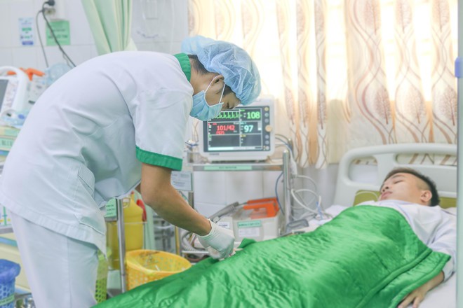 Bốn người trong gia đình nhập viện vì bị ong rừng đốt - Ảnh 1.