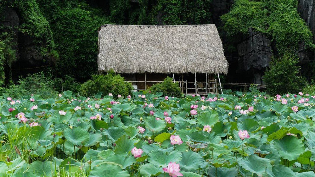 3858_whywijayanto_HOMESTAY 3858_whywijayanto_HOMESTAY