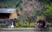 Motorbike tours - hình thức du lịch khám phá mới dành cho những người 'ngại phượt'