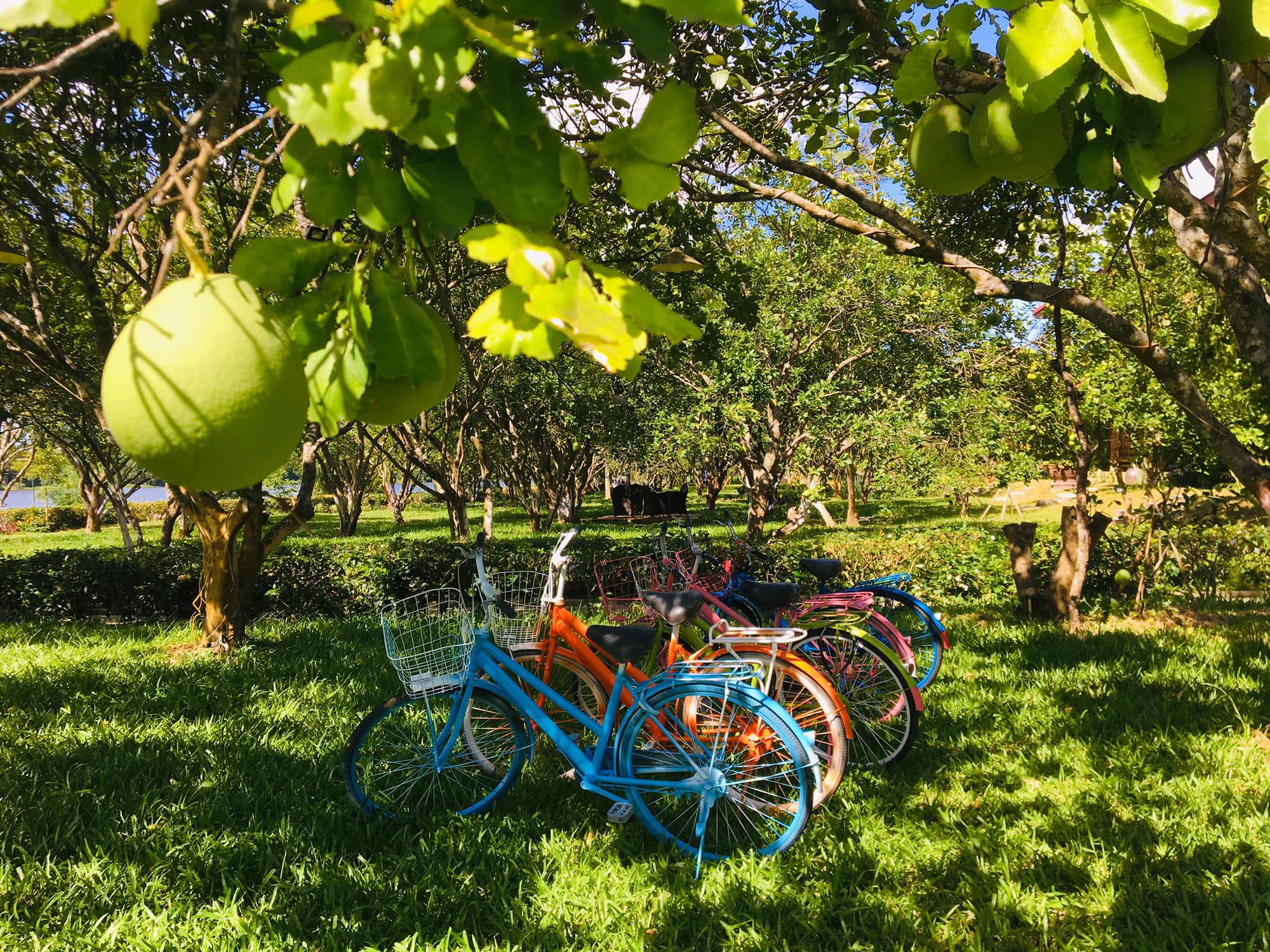 Hue Riverside Boutique Resort & Spa Hue Riverside Boutique Resort & Spa