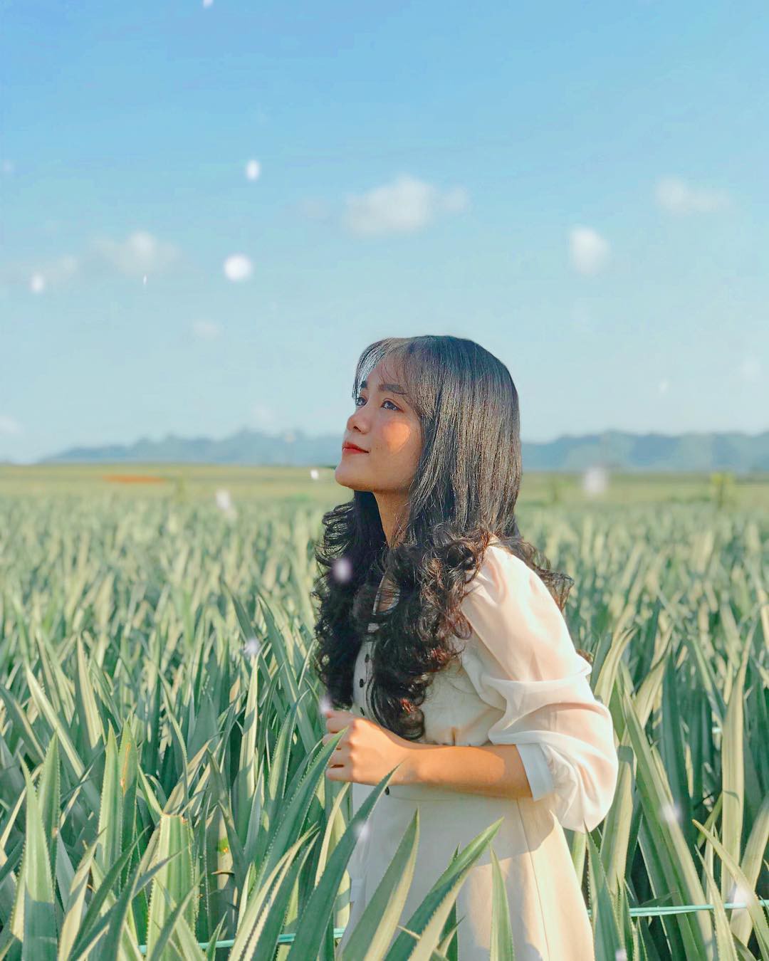 huongg_ly huongg_ly