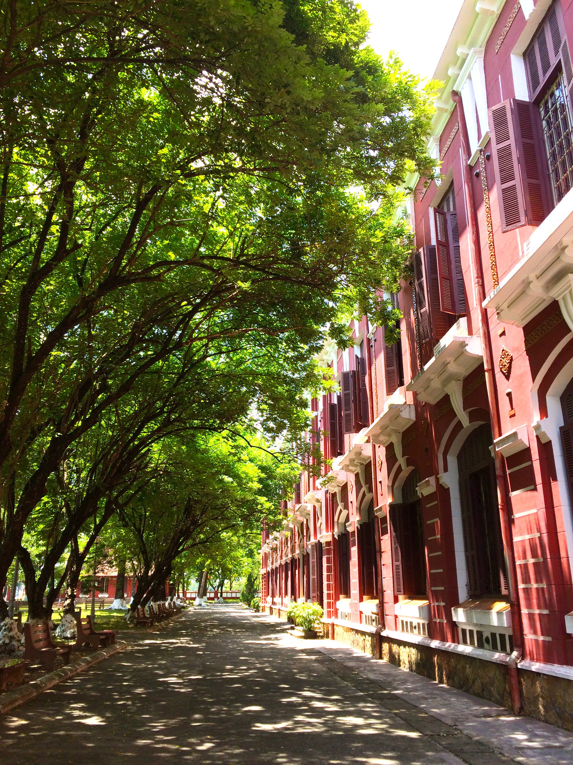7 Hường Trần