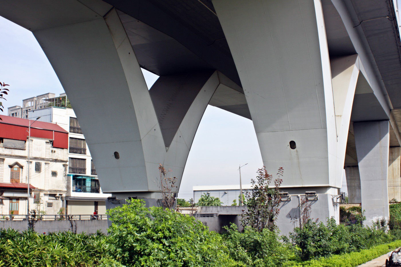 IMG_2539 IMG_2539