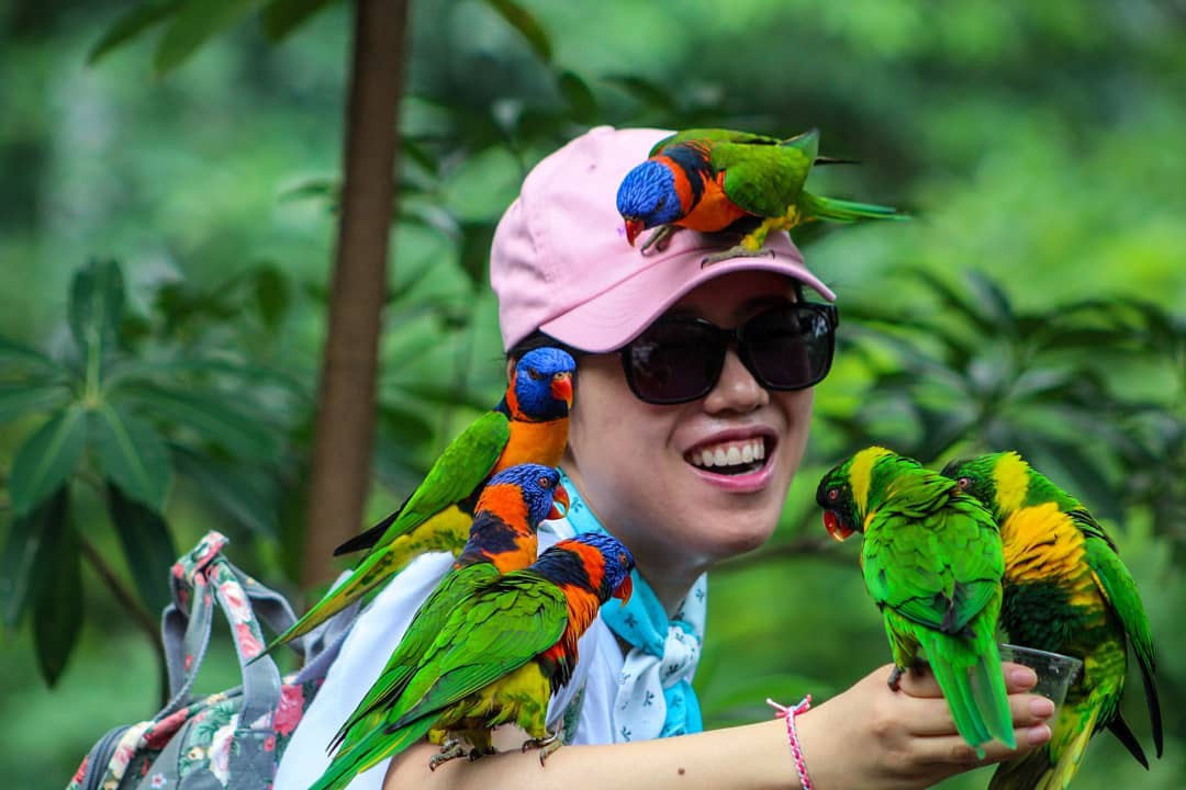 “Bỏ túi” ngay 5 địa điểm không thể bỏ qua khi đến Singapore - Ảnh 13. “Bỏ túi” ngay 5 địa điểm không thể bỏ qua khi đến Singapore - Ảnh 13.