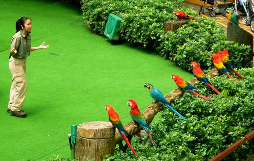 “Bỏ túi” ngay 5 địa điểm không thể bỏ qua khi đến Singapore - Ảnh 14. “Bỏ túi” ngay 5 địa điểm không thể bỏ qua khi đến Singapore - Ảnh 14.