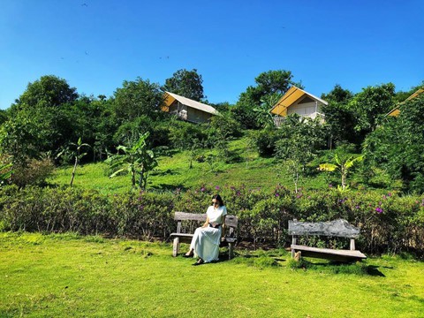 'Oc dao bi mat' tho mong o Tay Nguyen thu hut gioi tre hinh anh 2 'Oc dao bi mat' tho mong o Tay Nguyen thu hut gioi tre hinh anh 2