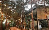 Không cần đi xa, các villa xanh mát tại Hà Nội là điểm đến lí tưởng cho sĩ tử xả hơi sau kì thi THPT quốc gia