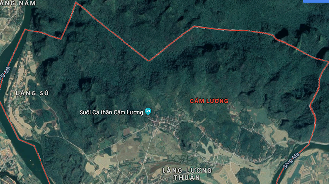 camluong4879473_2562019