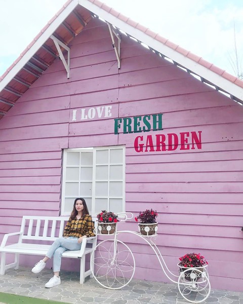 Check-in lien tay vuon hoa chau Au phien ban Da Lat hot nhat he nay hinh anh 11 Check-in lien tay vuon hoa chau Au phien ban Da Lat hot nhat he nay hinh anh 11
