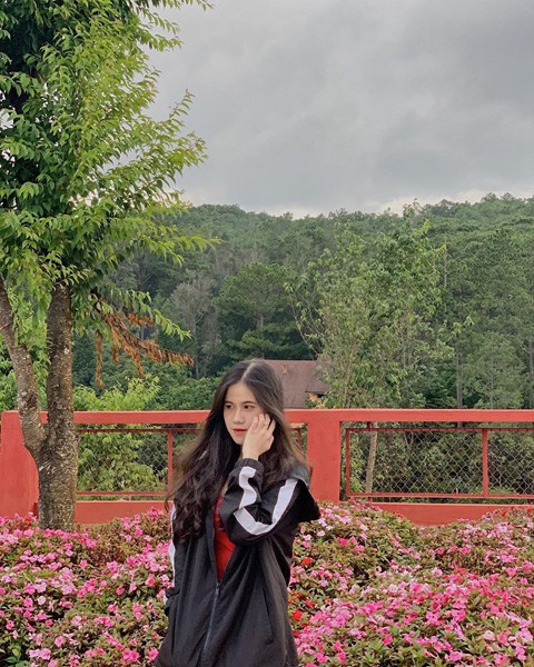 Check-in lien tay vuon hoa chau Au phien ban Da Lat hot nhat he nay hinh anh 13 Check-in lien tay vuon hoa chau Au phien ban Da Lat hot nhat he nay hinh anh 13