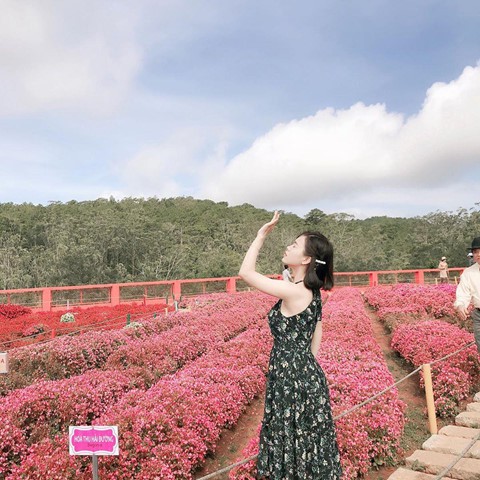 Check-in lien tay vuon hoa chau Au phien ban Da Lat hot nhat he nay hinh anh 14 Check-in lien tay vuon hoa chau Au phien ban Da Lat hot nhat he nay hinh anh 14