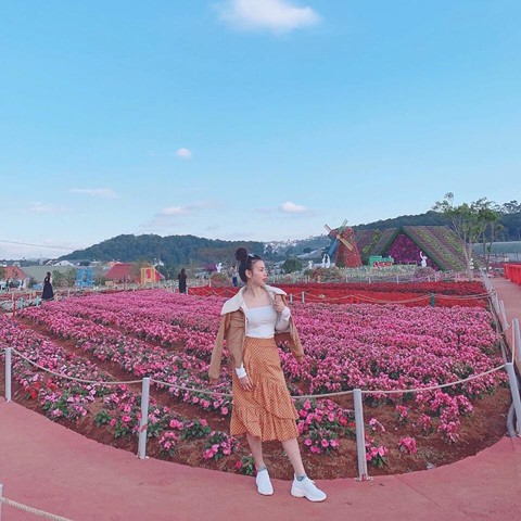 Check-in lien tay vuon hoa chau Au phien ban Da Lat hot nhat he nay hinh anh 15 Check-in lien tay vuon hoa chau Au phien ban Da Lat hot nhat he nay hinh anh 15