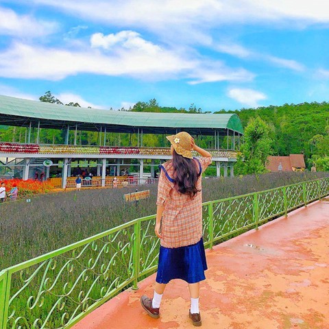 Check-in lien tay vuon hoa chau Au phien ban Da Lat hot nhat he nay hinh anh 5 Check-in lien tay vuon hoa chau Au phien ban Da Lat hot nhat he nay hinh anh 5