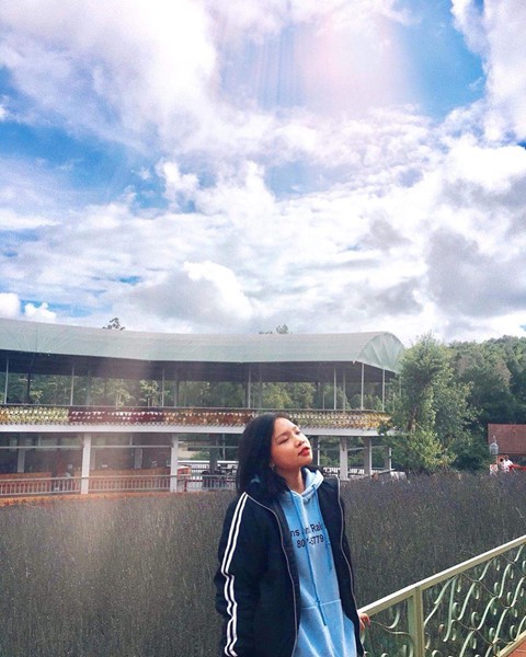 Check-in lien tay vuon hoa chau Au phien ban Da Lat hot nhat he nay hinh anh 6 Check-in lien tay vuon hoa chau Au phien ban Da Lat hot nhat he nay hinh anh 6