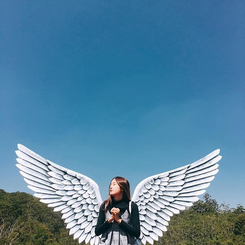 Check-in lien tay vuon hoa chau Au phien ban Da Lat hot nhat he nay hinh anh 9 Check-in lien tay vuon hoa chau Au phien ban Da Lat hot nhat he nay hinh anh 9