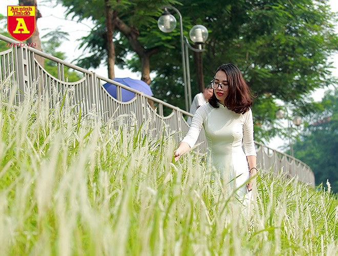 Điều kì diệu bên bờ sông Tô Lịch - Ảnh 8. Điều kì diệu bên bờ sông Tô Lịch - Ảnh 8.