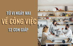 Tử vi ngày mai (4/6/2019) về công việc của 12 con giáp: Tuổi Ngọ cân bằng lại suy nghĩ