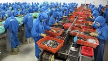 Một năm dị biệt, 1 tháng 4 mùa và nỗi lo hoa sữa nở tháng 5