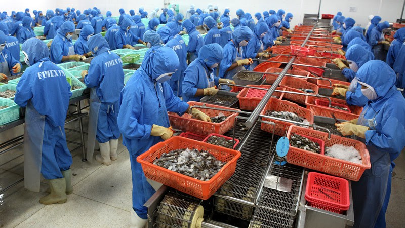 Một năm dị biệt, 1 tháng 4 mùa và nỗi lo hoa sữa nở tháng 5 - Ảnh 1. Một năm dị biệt, 1 tháng 4 mùa và nỗi lo hoa sữa nở tháng 5 - Ảnh 1.