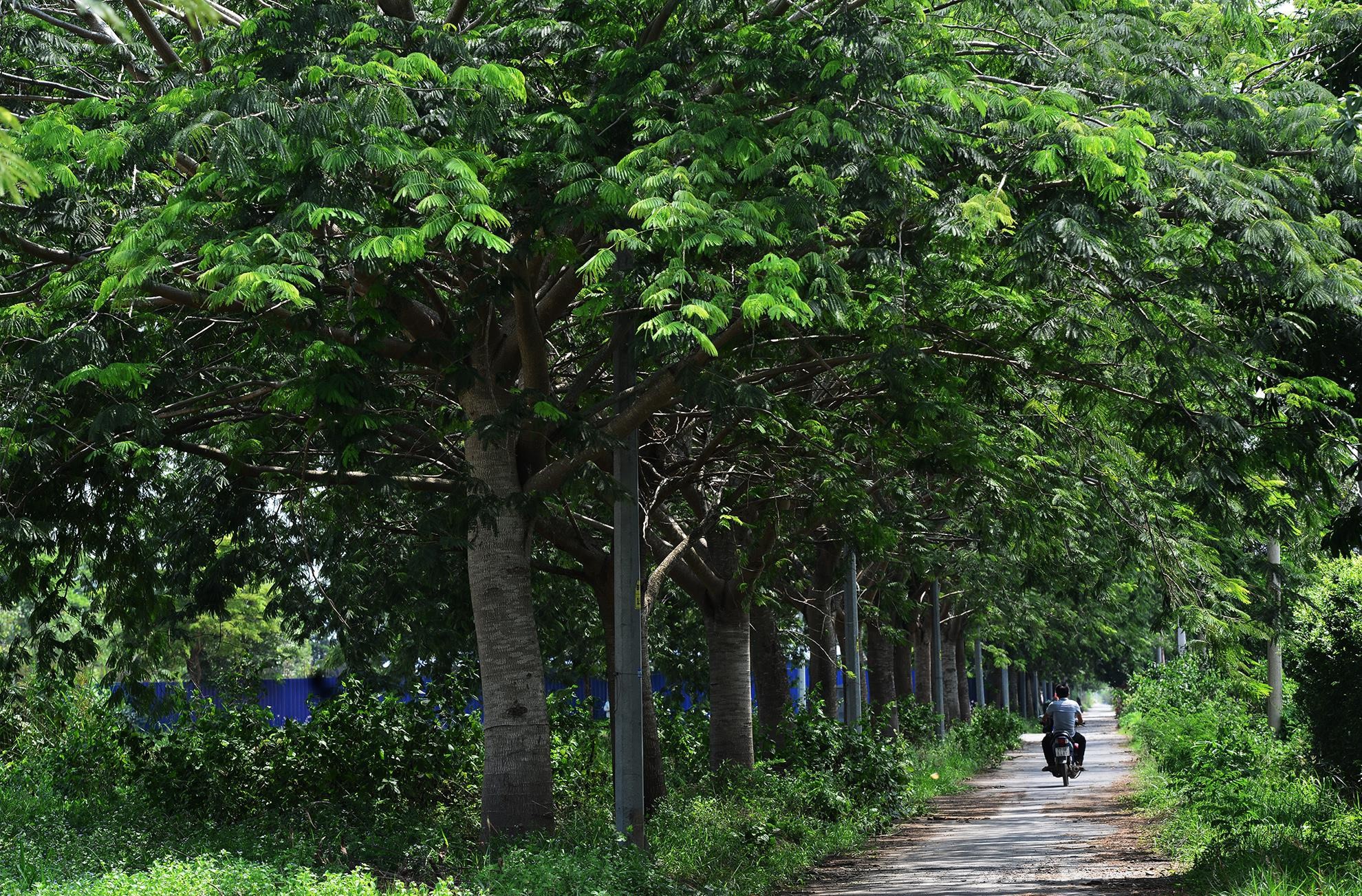 Khu đô thị Đông Sài Gòn hơn 10 năm hoang vắng - Ảnh 15. Khu đô thị Đông Sài Gòn hơn 10 năm hoang vắng - Ảnh 15.