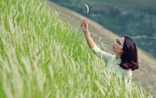Hà Nội: Sông Tô Lịch thơ mộng với những thảm hoa lau trắng muốt