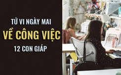 Tử vi ngày mai (5/6/2019) về công việc của 12 con giáp: Tuổi Mùi trì hoãn hay tiếp tục tiến lên?