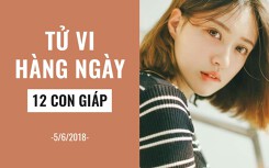Tử vi hàng ngày (5/6/2019): 6 điều nên và không nên của 12 con giáp