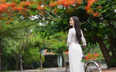 Đề thi thử THPT quốc gia 2019 môn Tiếng Anh THPT chuyên Thái Bình
