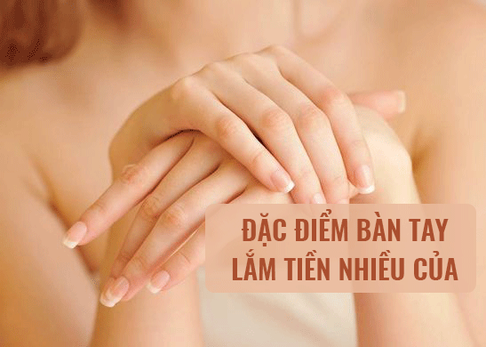 Nhân tướng học chỉ ra đặc điểm bàn tay của người lắm tiền nhiều của - Ảnh 1. Nhân tướng học chỉ ra đặc điểm bàn tay của người lắm tiền nhiều của - Ảnh 1.
