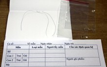 Ba lần thất vọng của anh Tây ở phòng xét nghiệm ADN Hà Nội