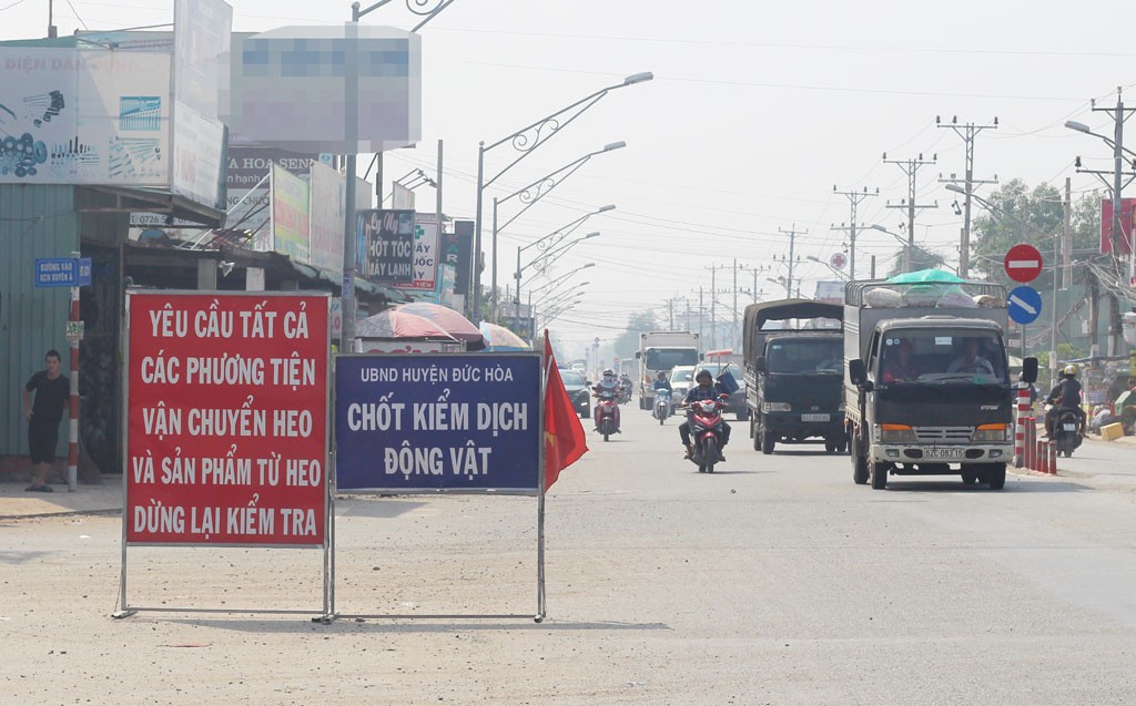 Dịch tả heo châu Phi tấn công Trà Vinh, miền Tây chỉ còn Long An và Bến Tre chưa xảy ra dịch - Ảnh 2.