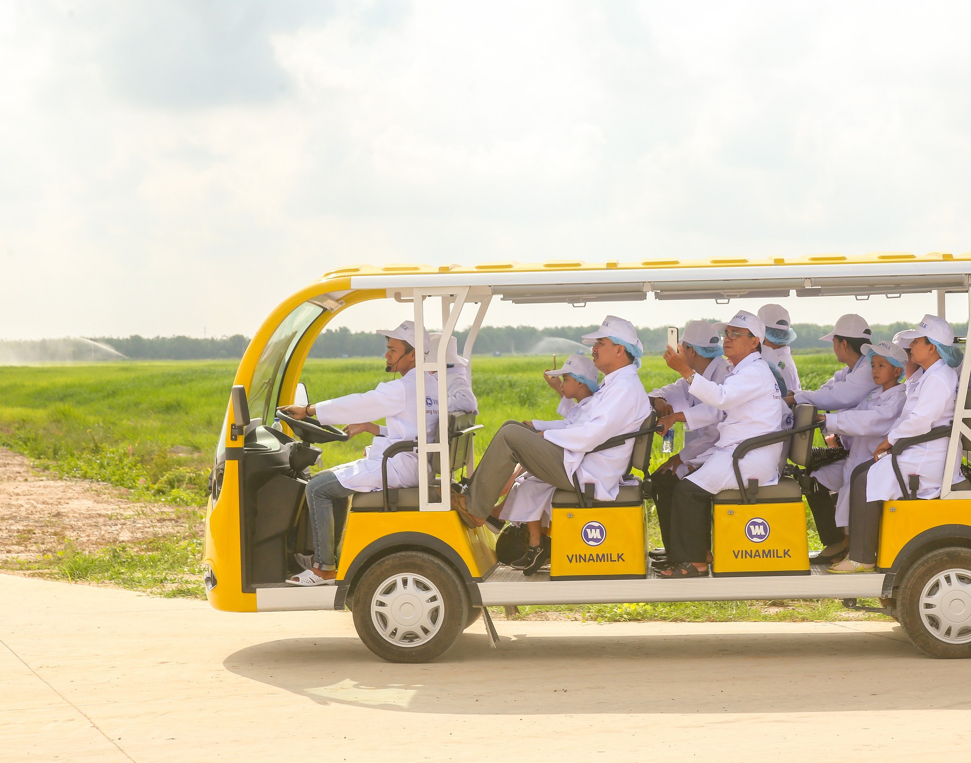 Tận mắt thấy những cô bò ở resort góp công vào li sữa học đường - Ảnh 2.