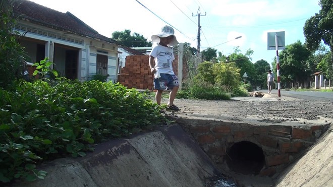 Côn trùng lạ mùi hôi tanh xuất hiện tấn công người dân: Bò đến đâu ngứa đến đó - Ảnh 3. Côn trùng lạ mùi hôi tanh xuất hiện tấn công người dân: Bò đến đâu ngứa đến đó - Ảnh 3.