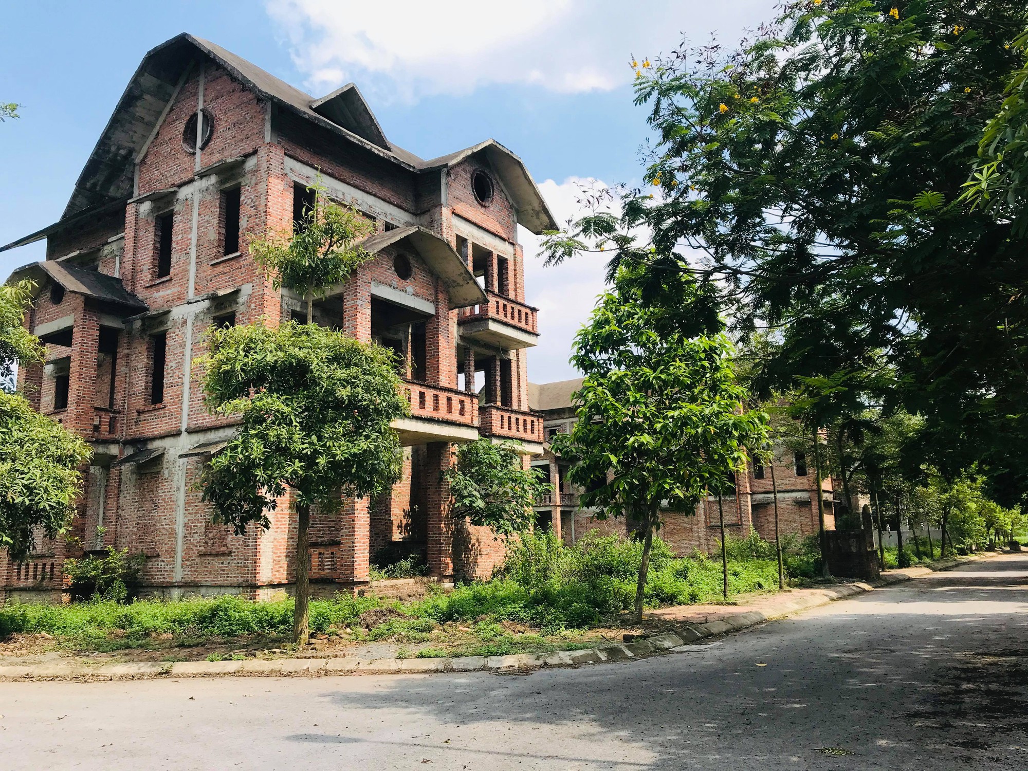 Dự án 900 tỉ đồng tại Mê Linh trở thành nơi chăn nuôi dê - Ảnh 1.