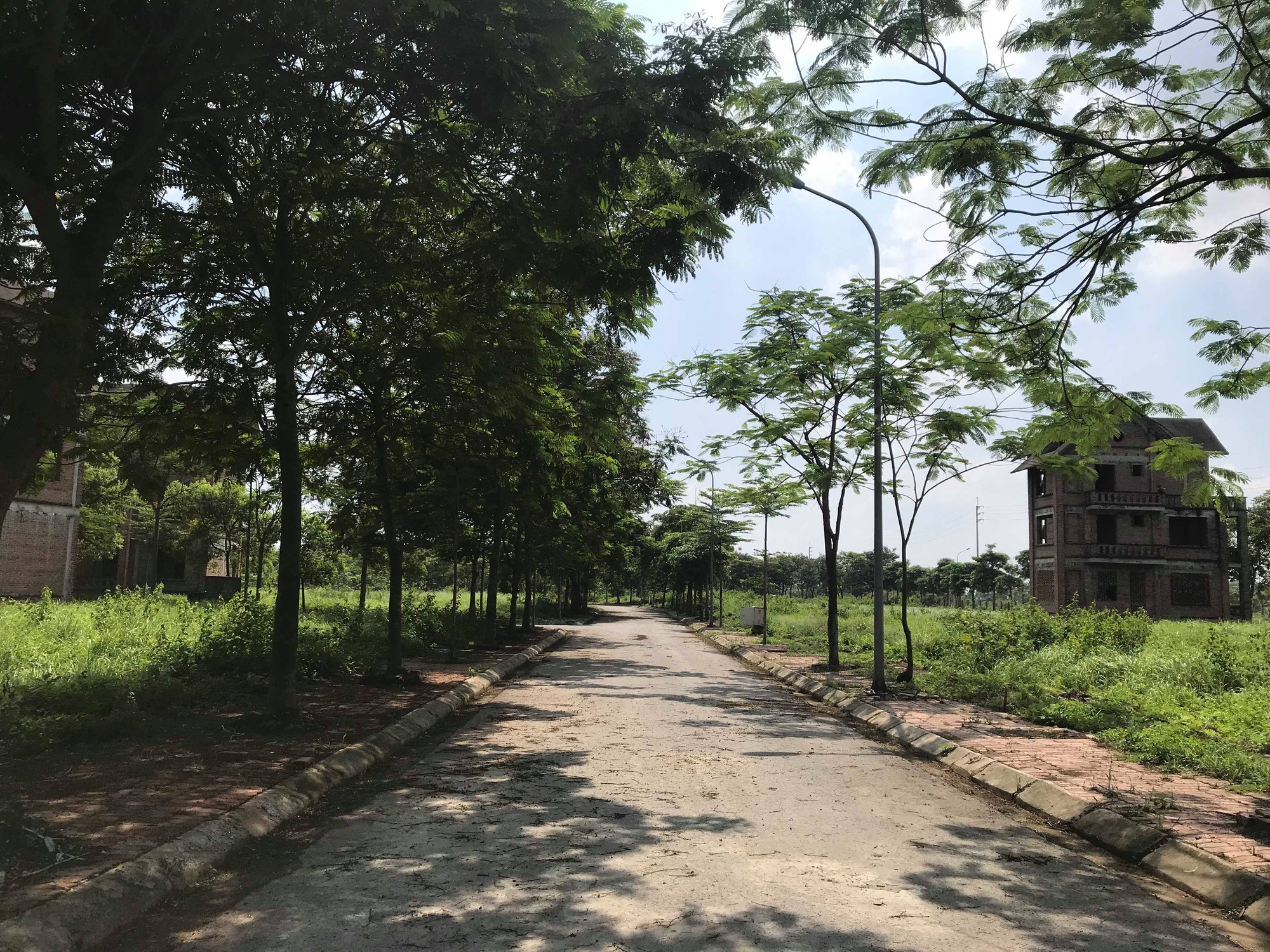 Dự án 900 tỉ đồng tại Mê Linh trở thành nơi chăn nuôi dê - Ảnh 6.