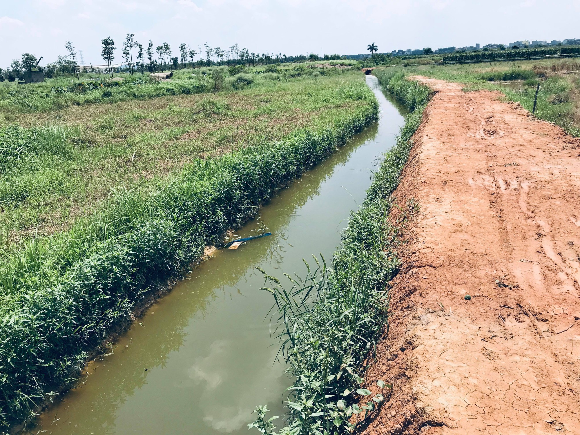 Hàng nghìn tỉ đồng bị chôn vùi tại khu đô thị bỏ hoang Minh Giang Đầm Và - Ảnh 2.