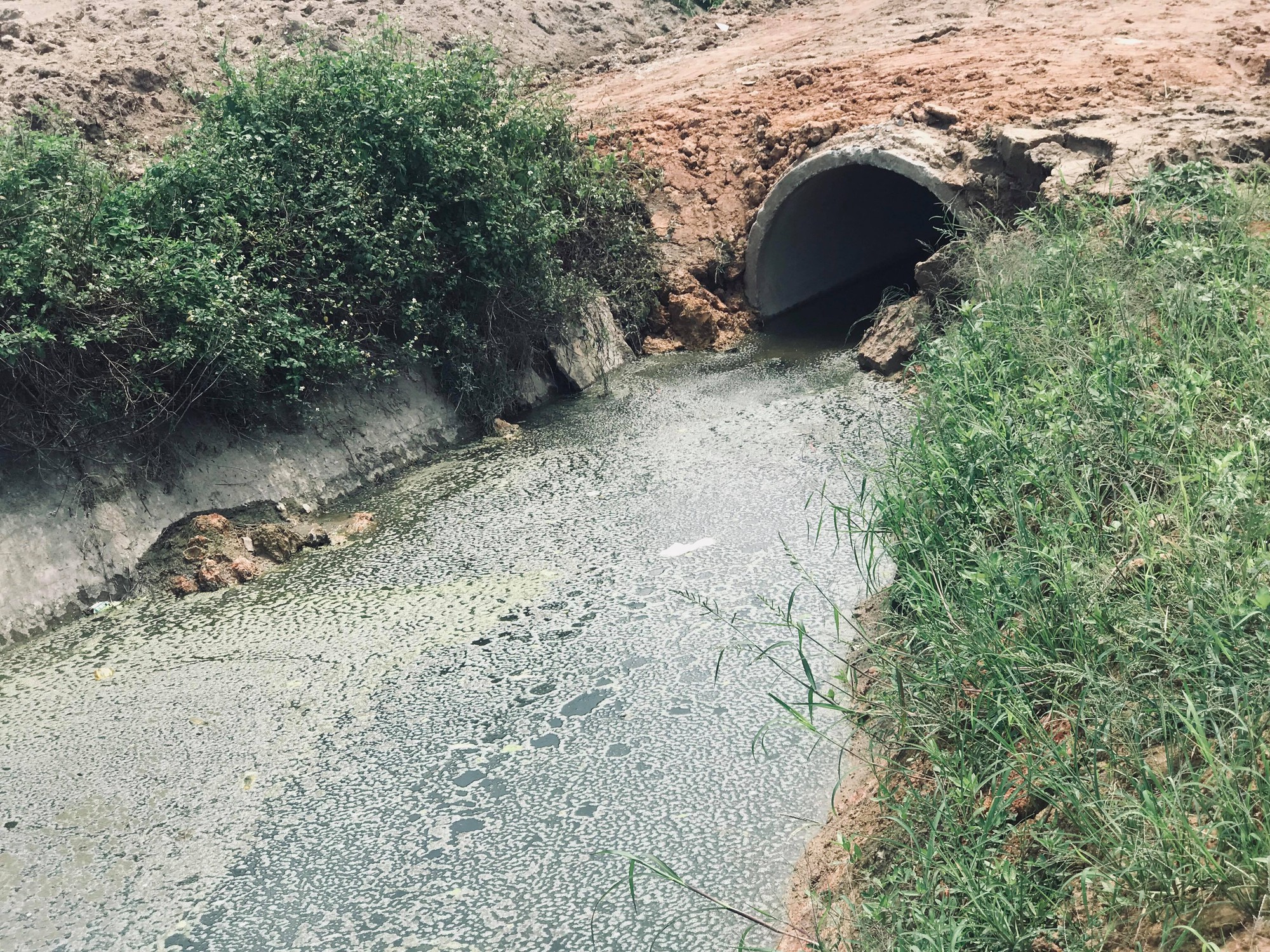 Hàng nghìn tỉ đồng bị chôn vùi tại khu đô thị bỏ hoang Minh Giang Đầm Và - Ảnh 3.