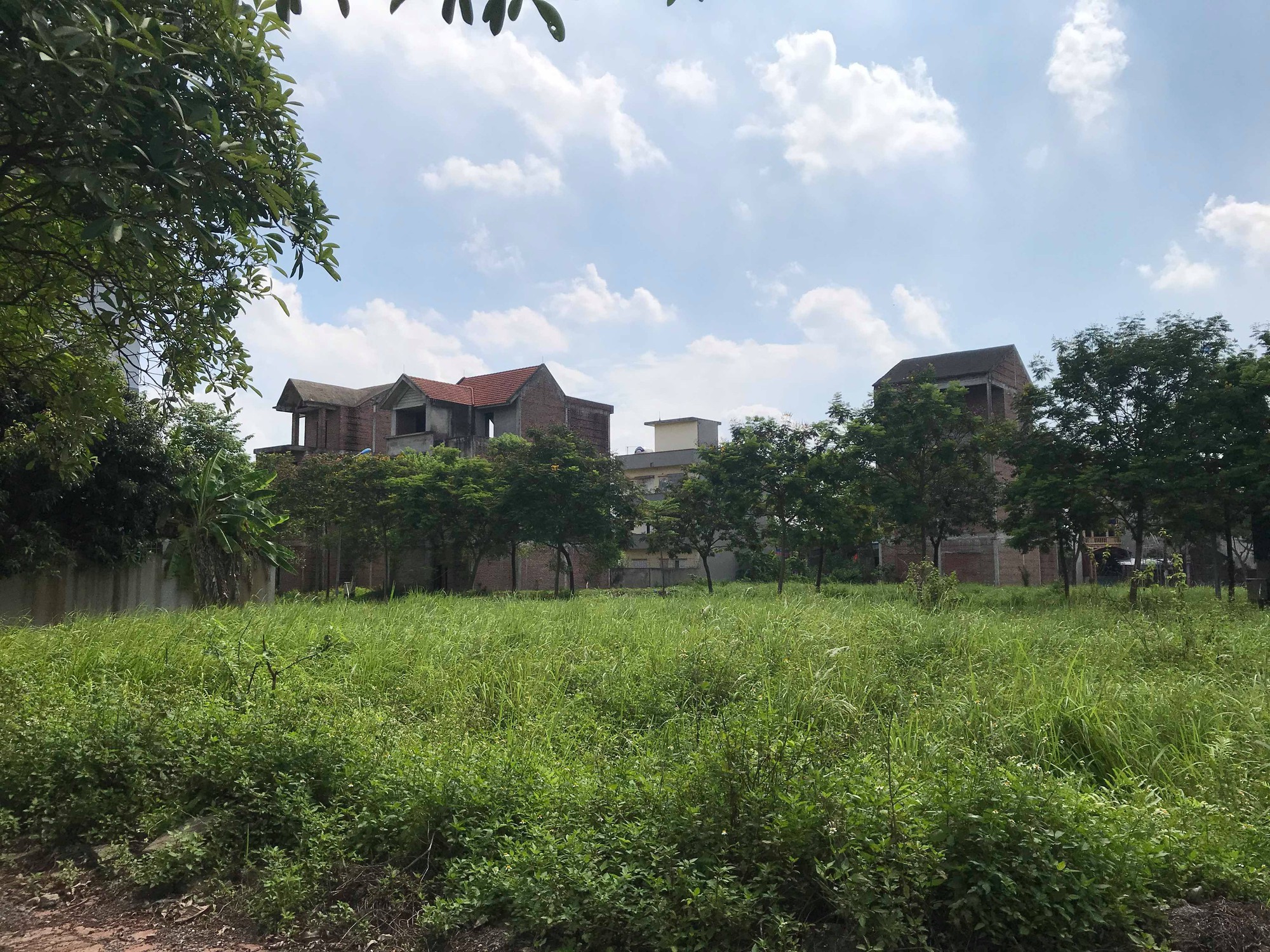 Dự án 900 tỉ đồng tại Mê Linh trở thành nơi chăn nuôi dê - Ảnh 11.