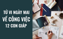 Tử vi ngày mai (9/6/2019) về công việc của 12 con giáp: Tuổi Hợi nhìn thấy những hướng đi mới