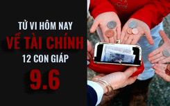 Tử vi hôm nay (9/6/2019) về tài chính của 12 con giáp: Tuổi Hợi chấp nhận án binh bất động